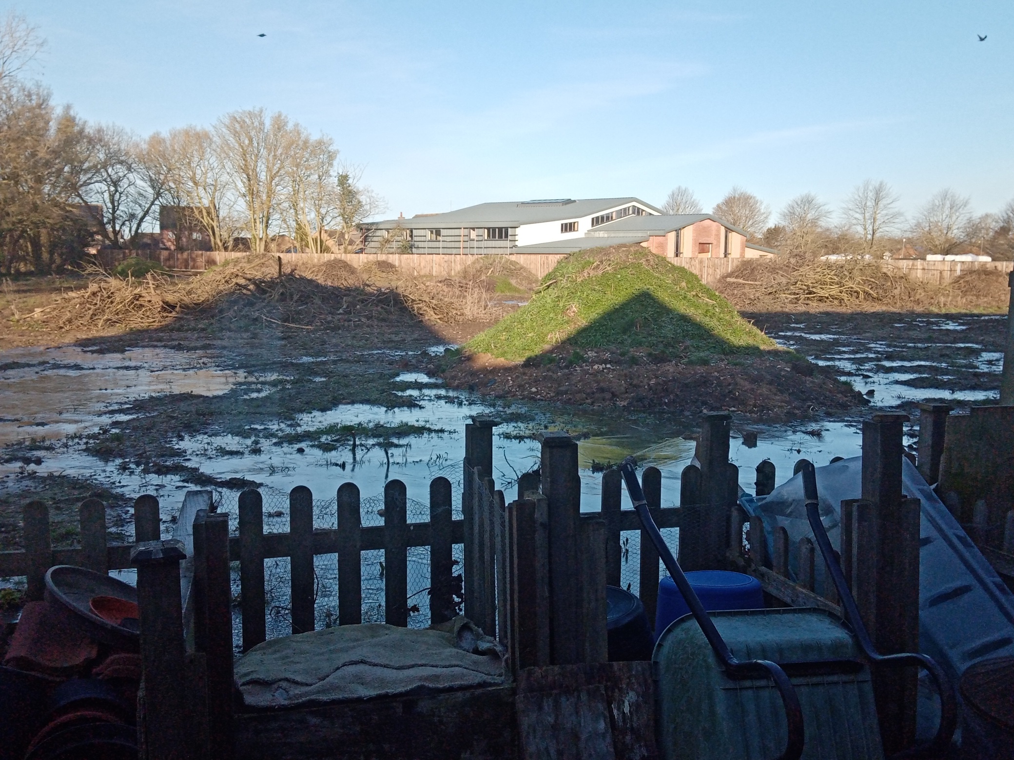 IMG_20210131_091349_resized_20210131_092043348