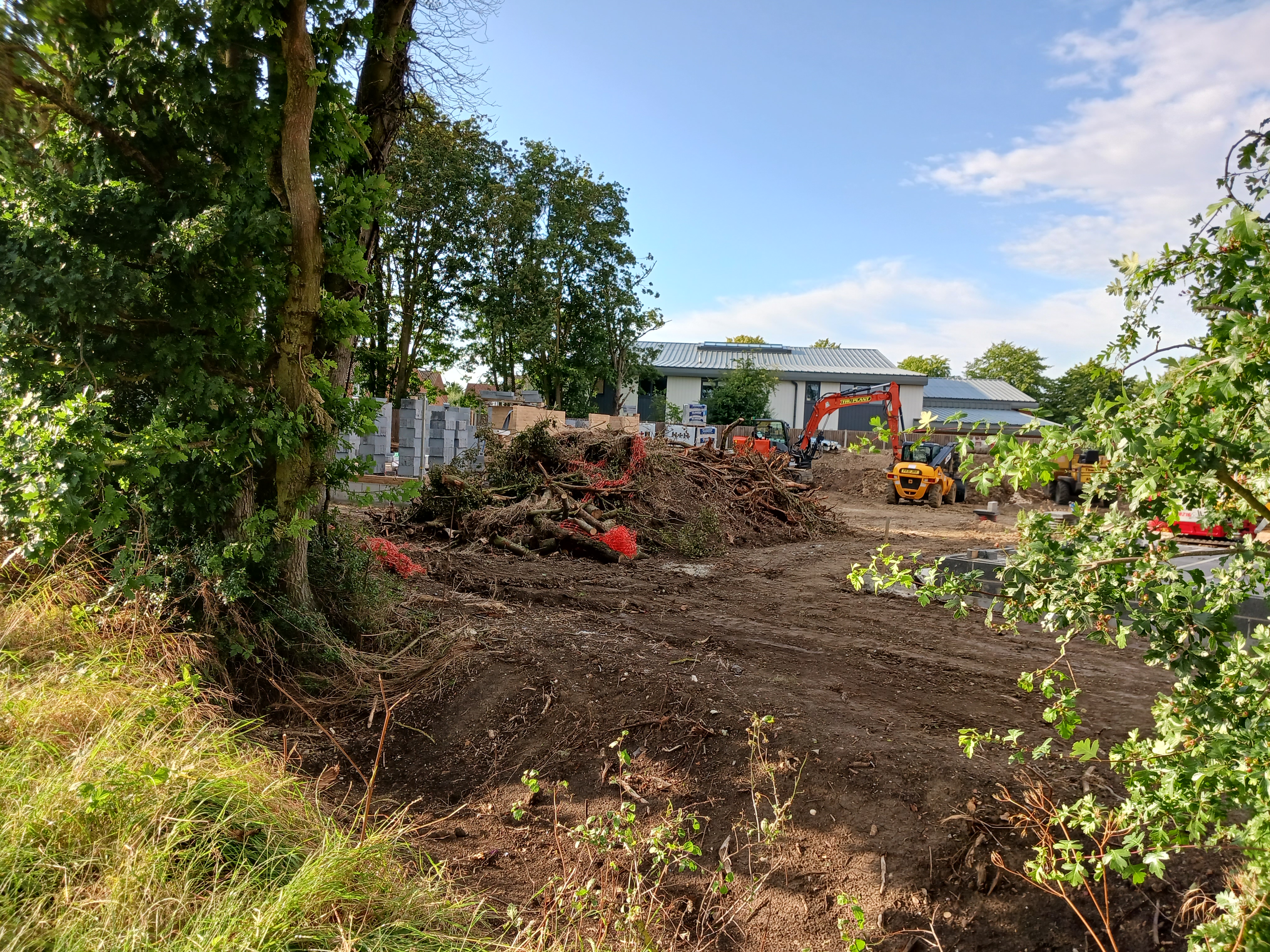 Hedge School Lane -2